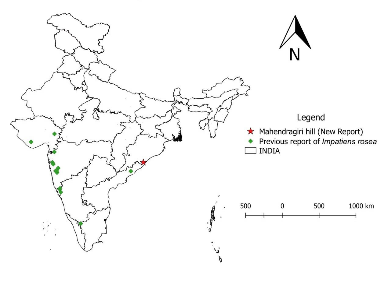 map.jpg