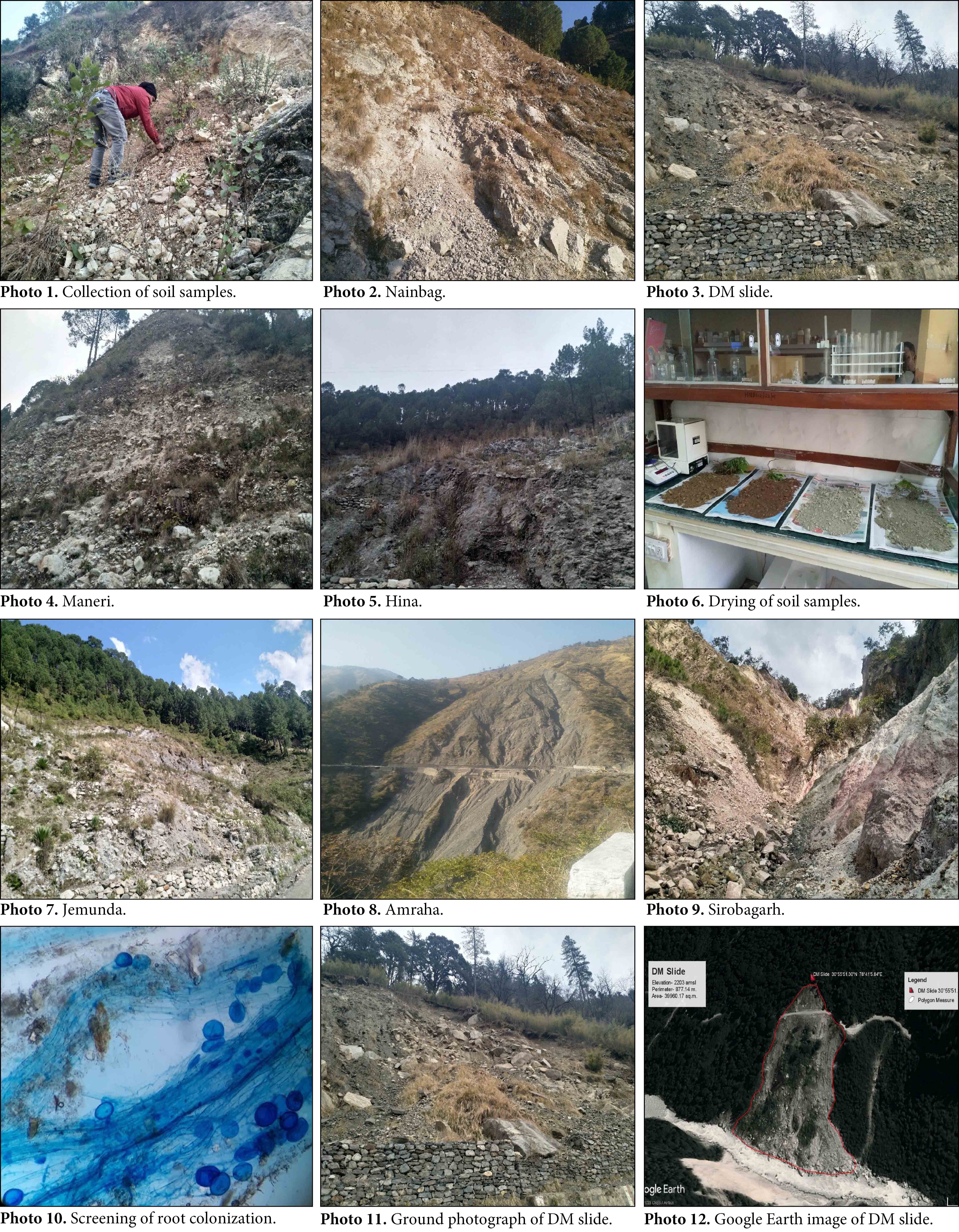 photoplates 1_12.jpg